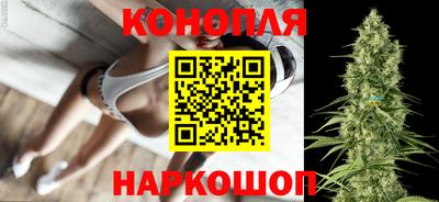 стафф Лесосибирск
