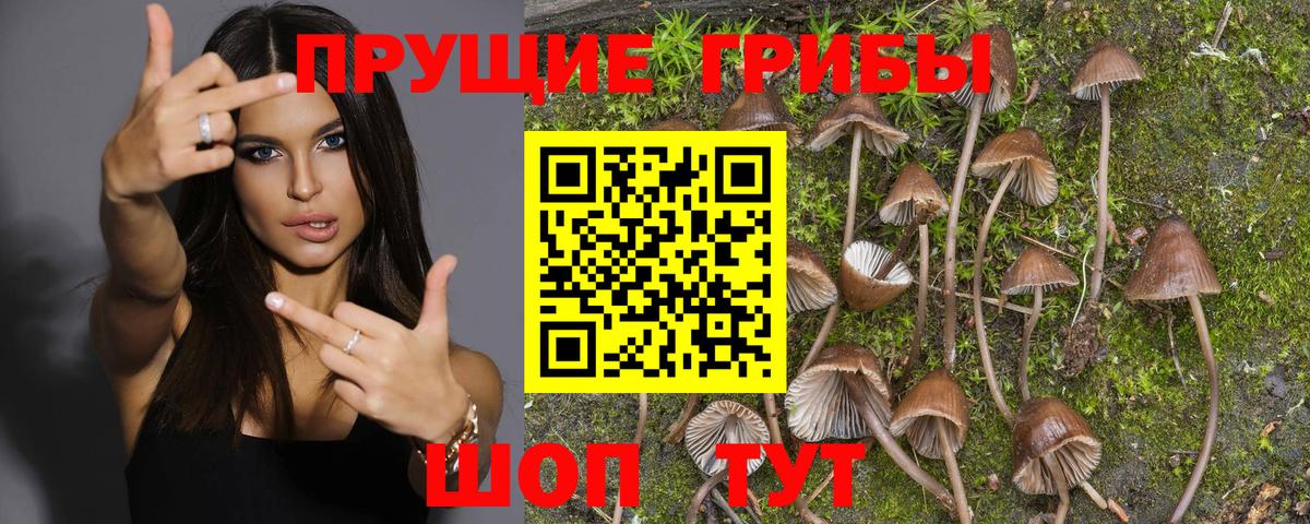 Ишимбай  Псилоцибиновые грибы ЛСД  цены наркотик  Вход с VPN 