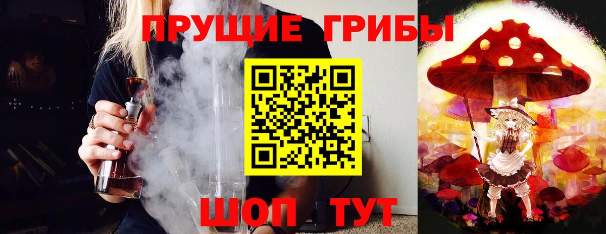 Галлюциногенные грибы Psilocybine cubensis Ишимбай